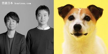 汪星人的住房需求，你懂嗎？電影攝制服務的視角